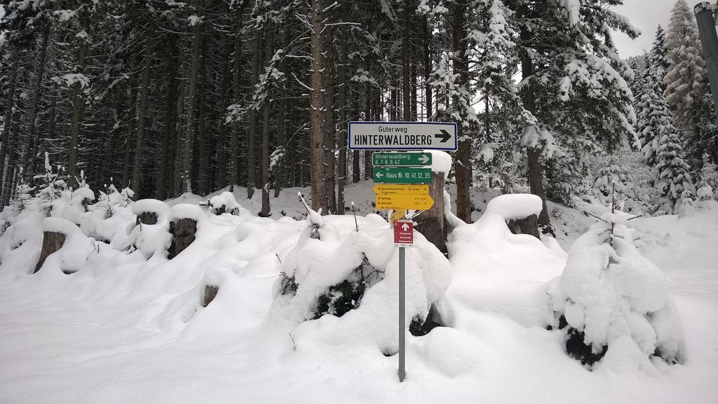 Appartement Reitlhof Wald im Pinzgau Ngoại thất bức ảnh